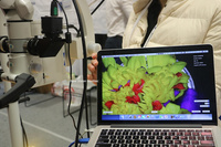 Adaptateur de caméra pour microscope dentaire, système d'imagerie numérique pour micro-neurochirurgie