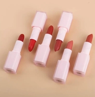 Marque Privée Rouge à Lèvres Rouge à Lèvres Mat de Luxe Vegan Waterproof Personnalisée