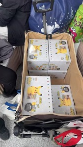 Ensemble peluche et boîte mystère de cartes Pokémon TCG « Cheek Rub » avec peluche magnétique, carte foil artistique exclusive et boosters - Product Image 2