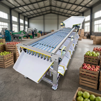 Jiayang Blueberry Sorteermachine, Grader voor Fruit, Cherry Tomaten Sorteermachine, Appel, Citrus, Ui Selectiemachine voor Elliptische Vormen