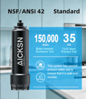 Système de filtration d'eau sous évier certifié NSF, monophasé, 3/8'', élimination des virus et des bactéries, filtre à eau au charbon actif