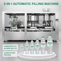 Machine de remplissage et de bouchage automatique clé en main pour bouteilles d'eau potable pure en PET et en verre
