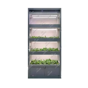 Uso domestico lattuga fresca sistemi di coltivazione idroponica sistema idroponico Indoor per verdure