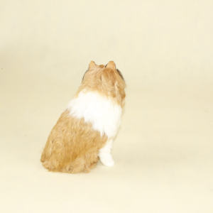 2023 nouveau Design mignon chiot <span class=keywords><strong>chien</strong></span> jouet artisanat <span class=keywords><strong>Shetland</strong></span> berger Sheltie <span class=keywords><strong>chien</strong></span> réaliste pour la décoration de la maison fournitures - Product Image 6