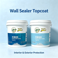 Revêtement protecteur transparent en acrylique pour murs intérieurs et extérieurs, anti-UV, imperméable, revêtement liquide pour murs en pierre véritable