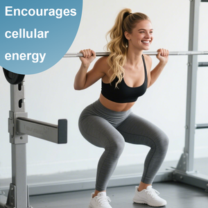 Olli Oem <span class=keywords><strong>L</strong></span> <span class=keywords><strong>Carnitine</strong></span> <span class=keywords><strong>60</strong></span> <span class=keywords><strong>Capsules</strong></span> 3000Mg Acetyl <span class=keywords><strong>L</strong></span>-<span class=keywords><strong>Carnitine</strong></span> Afslankproduct Pillen Verbranden Vetsupplementen Voor Volwassenen - Product Image 4