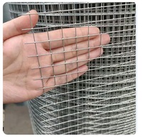 Panneau de grillage soudé galvanisé, filet soudé, grillage métallique facile à découper, cage d'élevage pour volailles, pigeons et cailles