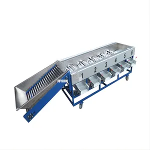 Customized citrus fruit washing waxing drying and grading machine auto citrus cleaning sorting line cheap price for sale