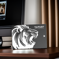 Taifast Hard Disk SSD, bagian komputer PC 256GB, Hard Disk SSD kecepatan tinggi untuk Laptop dan Desktop