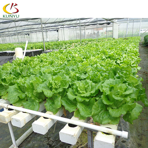 Dọc thủy canh vận chuyển Farming <span class=keywords><strong>container</strong></span> phát triển trang trại cho cho Rau diếp cây lá - Product Image 1