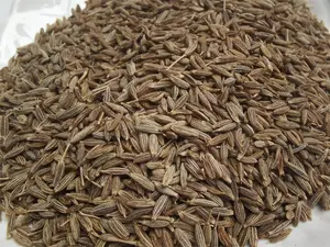 Wholesales Bulk High Quality Black Cumin Seed Powder Cumin Powder Spices