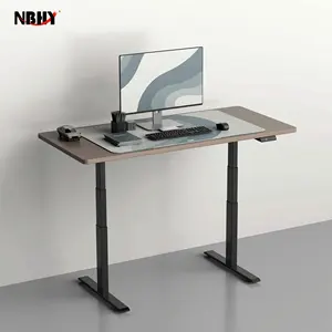 Ergo Electric Altura Ajustável Motor Duplo Standing Desk Móveis De Escritório Inteligente Stand Up Desk Altura Mesa Ajustável