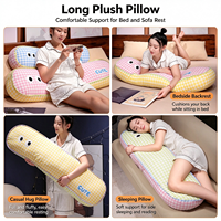 Services de personnalisation OEM pour jouets en peluche et housses de coussin personnalisées, y compris des oreillers de poupée longs avec rembourrage en coton PP doux.