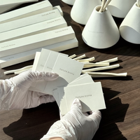 Diffuseur de parfum à bâtonnets longue durée de haute qualité pour la décoration minimaliste de la maison, salon et chambre à coucher