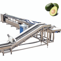 Papaya Perzik Banaan Bes Peer Ui Groenten Kleine Fruitsoorten Kiwi Sorteer- en sorteermachine KHGX-6J Sensor PLC 600KG 1 Jaar Garantie