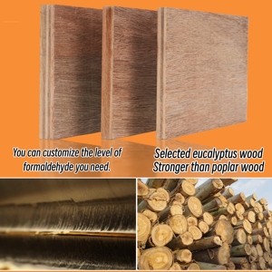 Produttore di Compensato Standard E0 18mm Compensato di Eucalipto e Noce Rivestito in Film di Betulla <span class=keywords><strong>per</strong></span> Uso in Mobili Moderni - Product Image 4