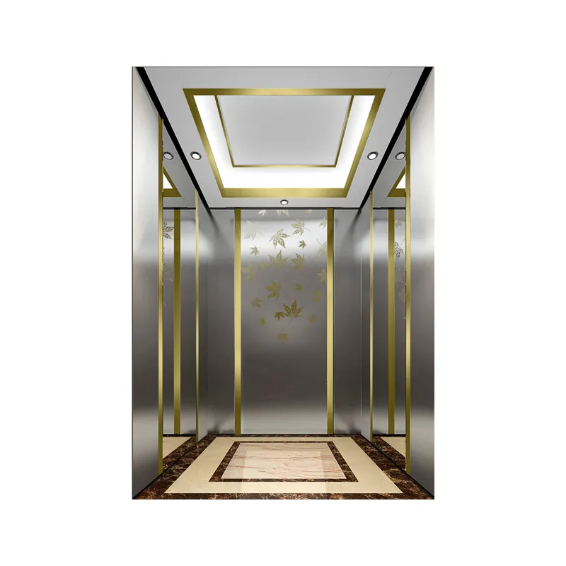 Best Selling Home-Use Elevator Luxury Villa Elevator 400KG Residential Elevator