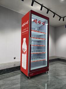 <span class=keywords><strong>Frigoriferi</strong></span> Verticali Monoporta di Alta Qualità con Raffreddamento ad Aria, Espositori Refrigerati per Bevande, Congelatore Pubblicitario Esterno Personalizzabile - Product Image 4