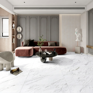 Regard spécial sur la maison : un mélange harmonieux d'élégance et de distinctivité. Surface en velours DG 600x1200 (I) - Product Image 1