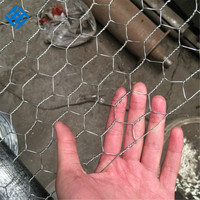 Filet de cage de poulet galvanisé hexagonal Pot de poisson de ferme et fil de piège à crabe Service de coupe personnalisable