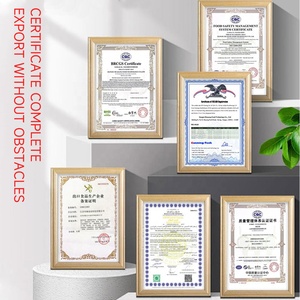 Tùy Chỉnh Hương Vị Vani Mềm Phục Vụ Kem Bột Trộn Đường Thấp Chất Béo Thấp Tự Làm Kem Premix Bột Với Halal Chứng Nhận - Product Image 5