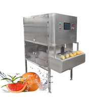 Automatische Mandarine Dunschiller Oranje Apple Industriële Elektrische Commerciële Fruit Grapefruit Guave Peeling Machine