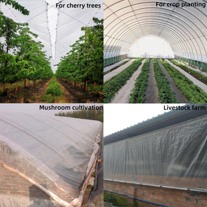 Couverture de serre tissée renforcée Film tissé transparent Imperméable Toile plastique - Product Image 5