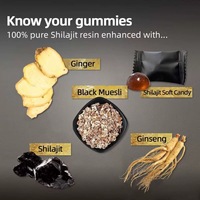 Gummies OEM de Shilajit Pur de l'Himalaya Or, Certifiées Halal, Soutien Énergétique Naturel, Vitalité Quotidienne, Bien-être Corporel, Supplément Oral