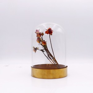 Fornitura di diverse dimensioni chiaro semplice fiore di rosa conservato in vetro a cupola di vetro con cupola in legno nero base in oro - Product Image 5