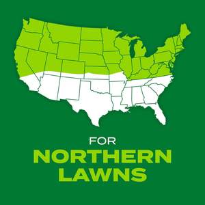 Садовая трава для затенения, смесь, 10 фунтов. Удобрение для пластиковой травы для быстрого роста зеленой травы всего за несколько недель - Product Image 2