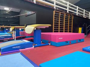 GAOHAO Planche à ressort de gymnastique de haut niveau Club Training Vault Springboard Springs Gymnastic Jumping Board Équipement de gymnastique - Product Image 6