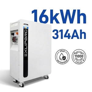 EXLIPORC Powerwall de 16 kWh, 51.2V 314Ah, Paquete de Baterías LiFePO4 con Celdas de Grado A, Sistema de Almacenamiento de Energía Solar para el Hogar - Product Image 1