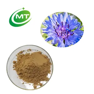 100% puro Natural de alta calidad Centaurea Cyanus polvo de extracto de aciano