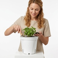 Pots de fleurs modernes, mignons, durables et légers en plastique PP blancs pour pépinière, jardin vertical, sol, démarrage, élégants, pour bureau et intérieur