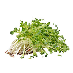 Healthway pasokan alfalfa jus bubuk alfalfa bubuk - Product Image 3