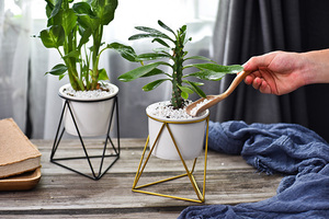 Dropshipping Petit support de jardinière <span class=keywords><strong>en</strong></span> métal Récipient d'intérieur succulent <span class=keywords><strong>en</strong></span> céramique pour décoration de bureau de balcon de cuisine de ferme-pour jardins - Product Image 4