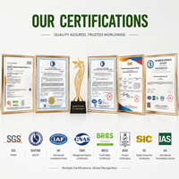 Assaisonnement en poudre de poulet de qualité supérieure pour applications culinaires avancées, longue durée de conservation, mélange de viande anti-humidité, Halal ISO9001