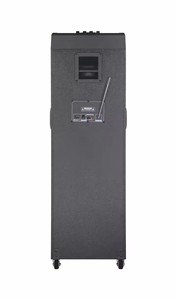 Công Suất Lớn 100W Sân Khấu Không Dây DJ Bên Ngoài Trời Đôi 12Inch Loa Mic LED Ánh Sáng Hoạt Động Professinal Loa Mạnh Mẽ - Product Image 2