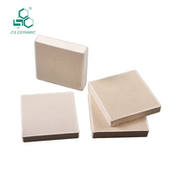 Filtre alvéolé en céramique d'alumine industrielle extrudée, avec taille personnalisable et porosité de 51-57 % pour applications variées