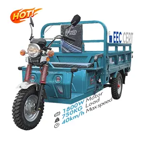 LB-3W3S Top Sell 3 Wheeler Heavy Loading Motorcycle Curb Weight 200kg For Cargo