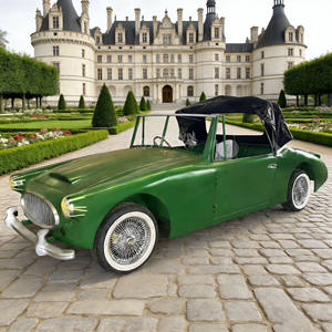 合法上路的电动老式高尔夫球车 经典观光巴士 特殊交通工具 - Product Image 1