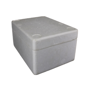 China EPS styrofoam customized size protective packaging insulated shipping box for fruit vegetable fish