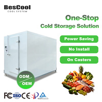 Ruang Pendingin Bergerak (Walk-in Cold Storage Room) Buatan China dengan Kompresor Copeland/TECUMSEH untuk Buah & Sayuran Segar