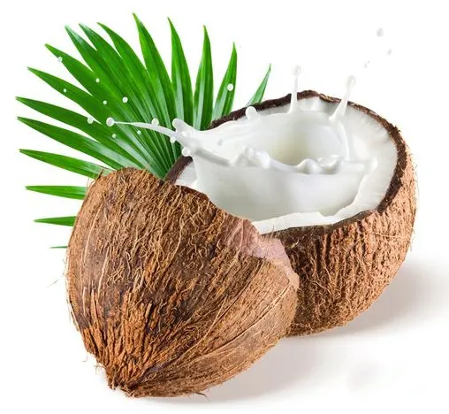 Prix de gros huile corporelle de noix de coco pressée à froid huile capillaire de noix de coco pure vierge rbd biologique pour la peau et la fabrication de savon