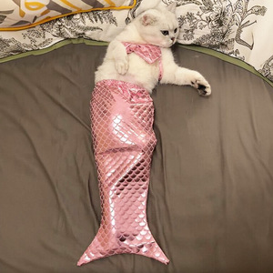 Costume de sirène tendance pour chat, tenue amusante avec queue, accessoires mignons pour photos de chatons - Product Image 5