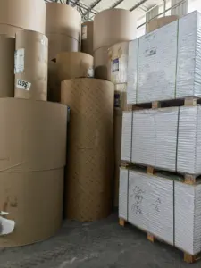 Usine de papier matières premières de qualité alimentaire en gros papier PE enduit gobelet en papier matières premières