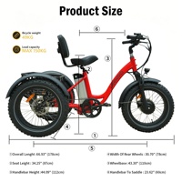 Tricycle électrique à assistance électrique longue portée, pneus larges de 20 pouces, différentiel de stationnement, moteur sans balais