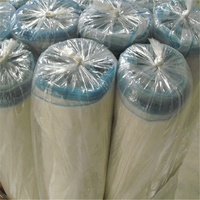 Filet de jardin transparent de 4,2 m de large, maille 50, barrière anti-parasites, filet fin pour la protection des plantes