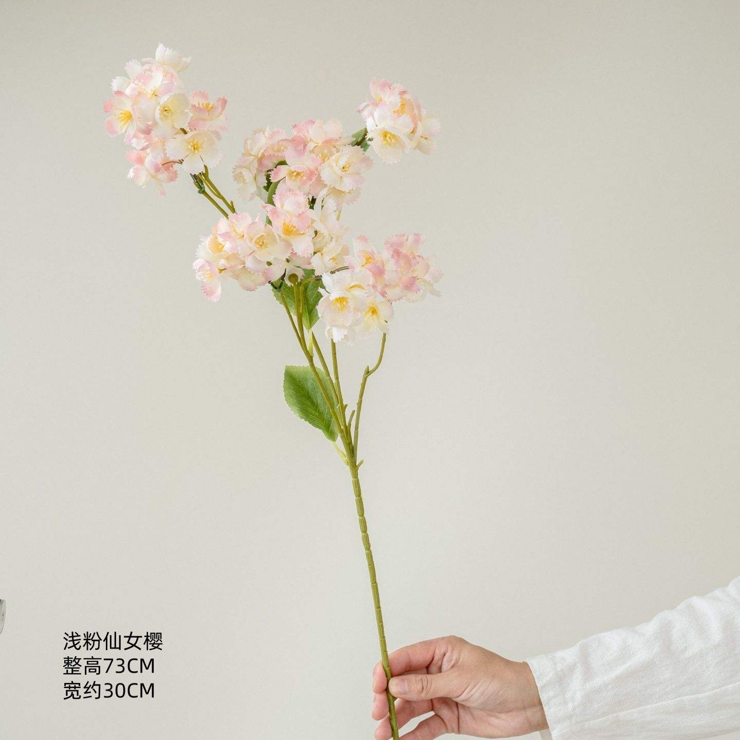 Fleur de cerisier féerique rose clair