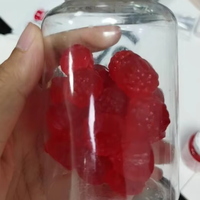 Gummies Probiotiques Sans Gluten pour Femmes Adultes Marque Privée OEM – Soutien Digestif, Gestion de l'Énergie, Canneberge, Santé Vaginale
